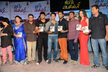 Pyaar Mein Padipoyane Audio Launch